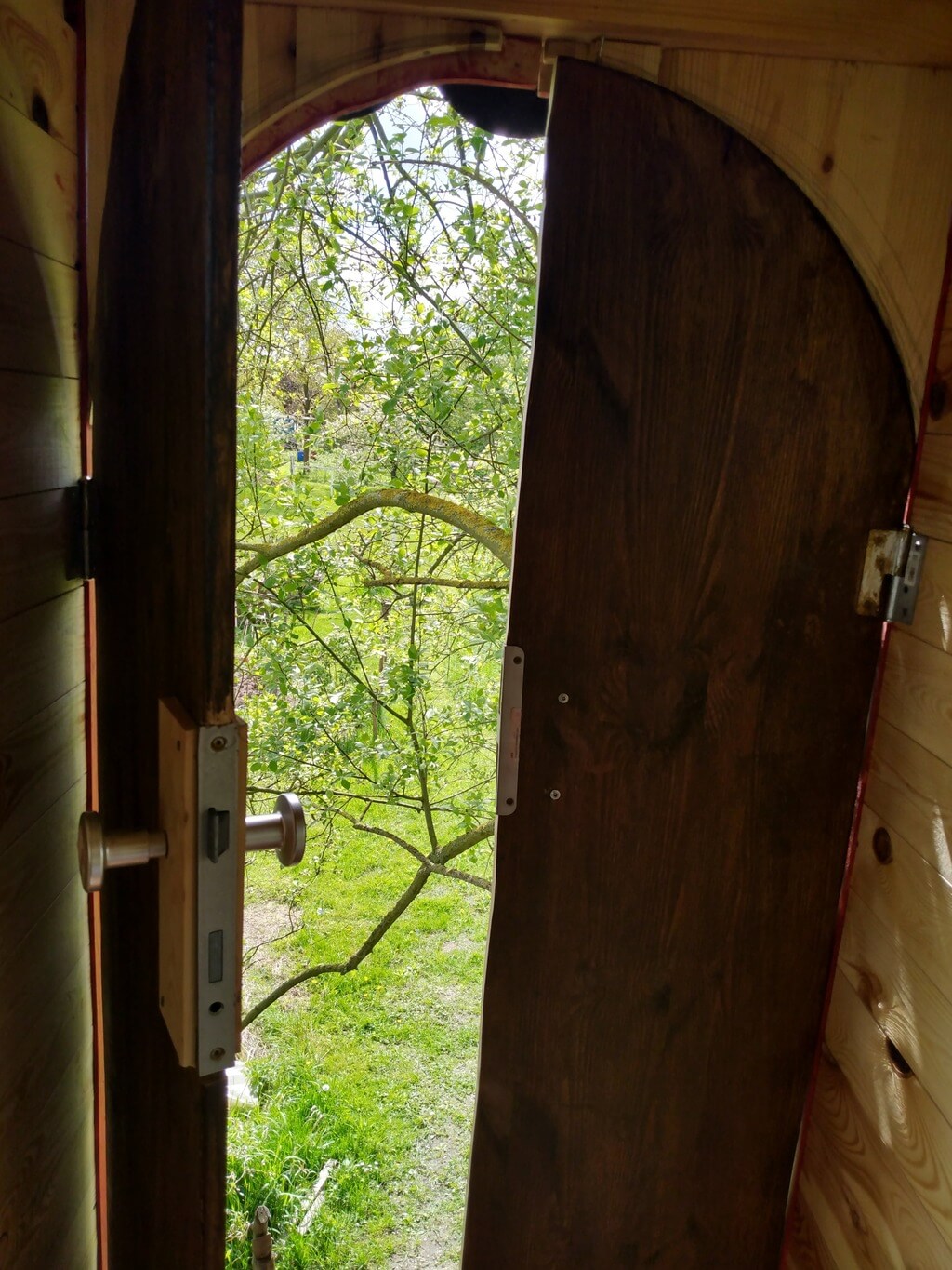 Image of the treehouse entrance from the inside