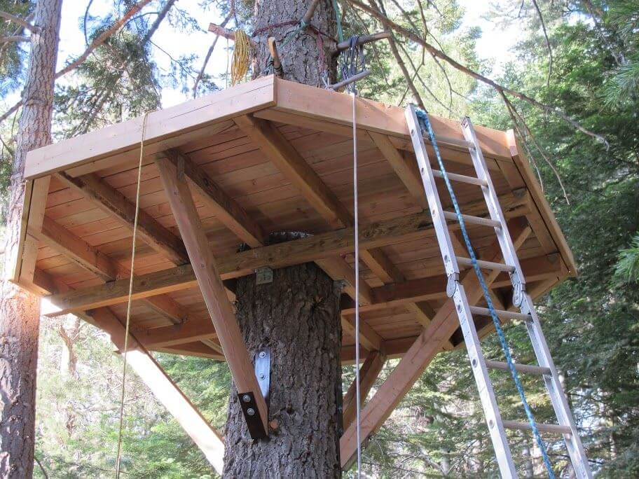image of a treehouse with only a floor