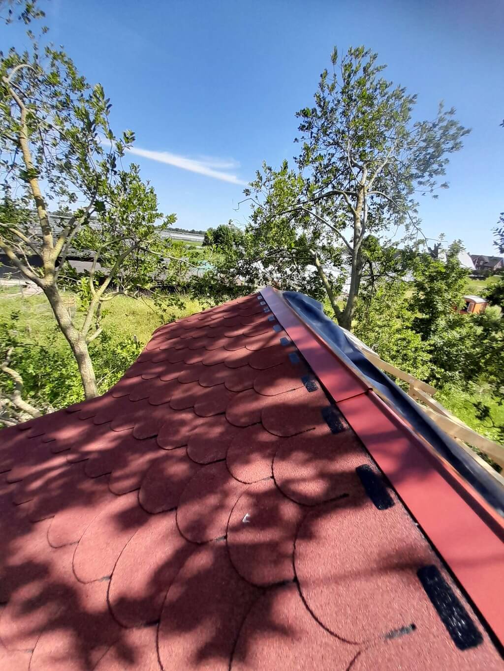 Image of shingles on treehouse roof