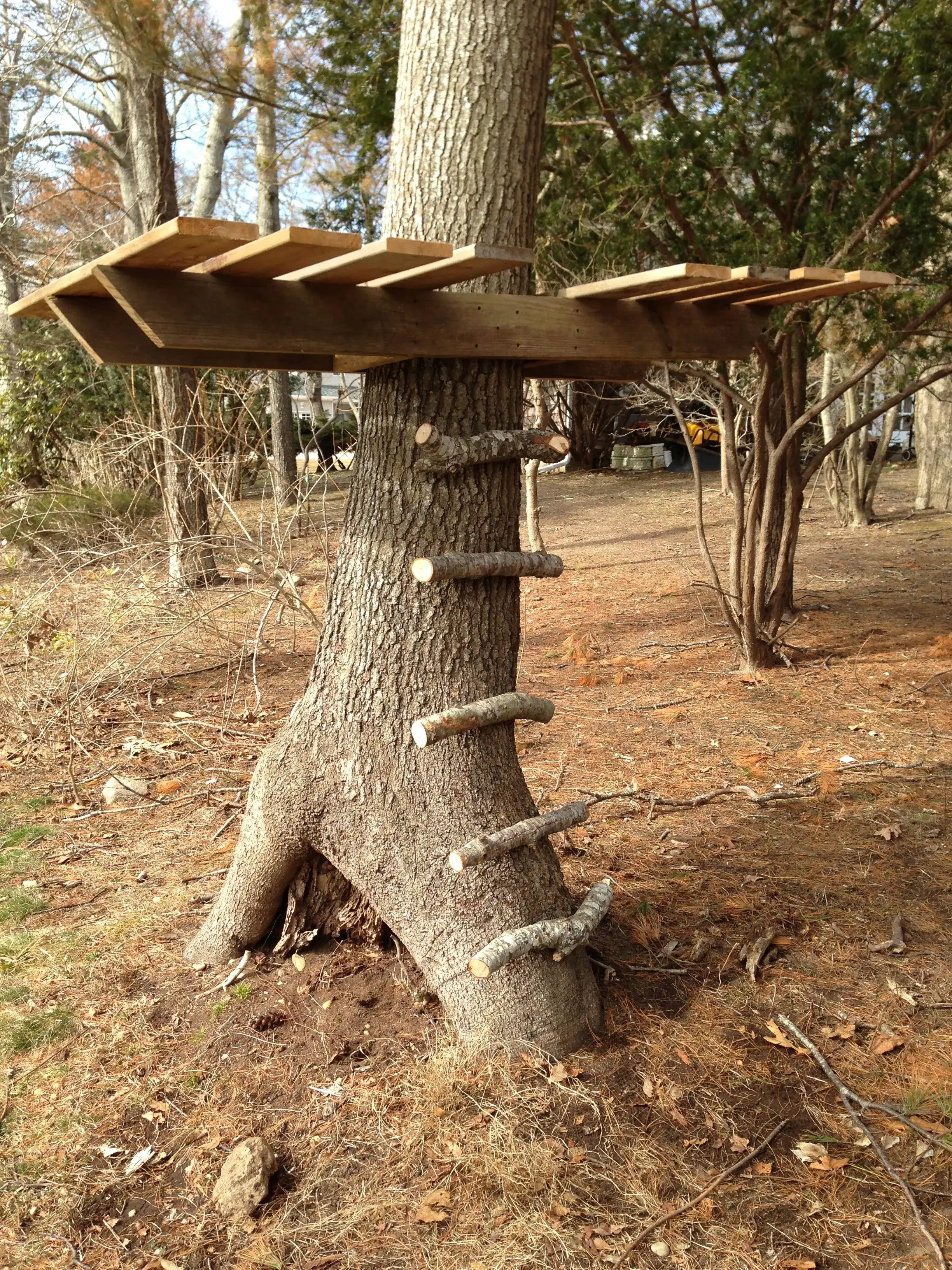 image of simple treehouse