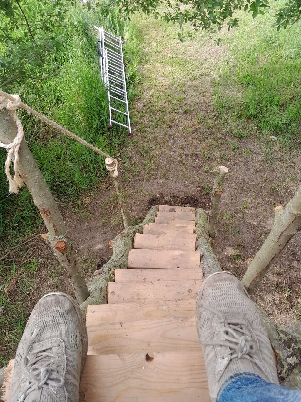 image of treehouse stairs