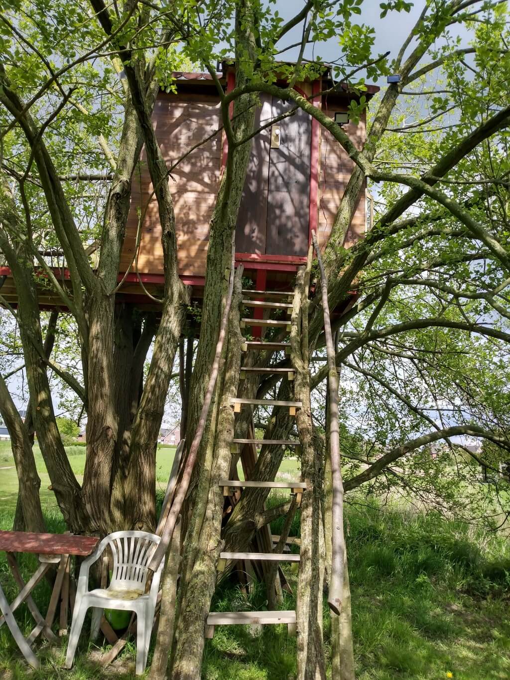 image of the stairs to the treehouse